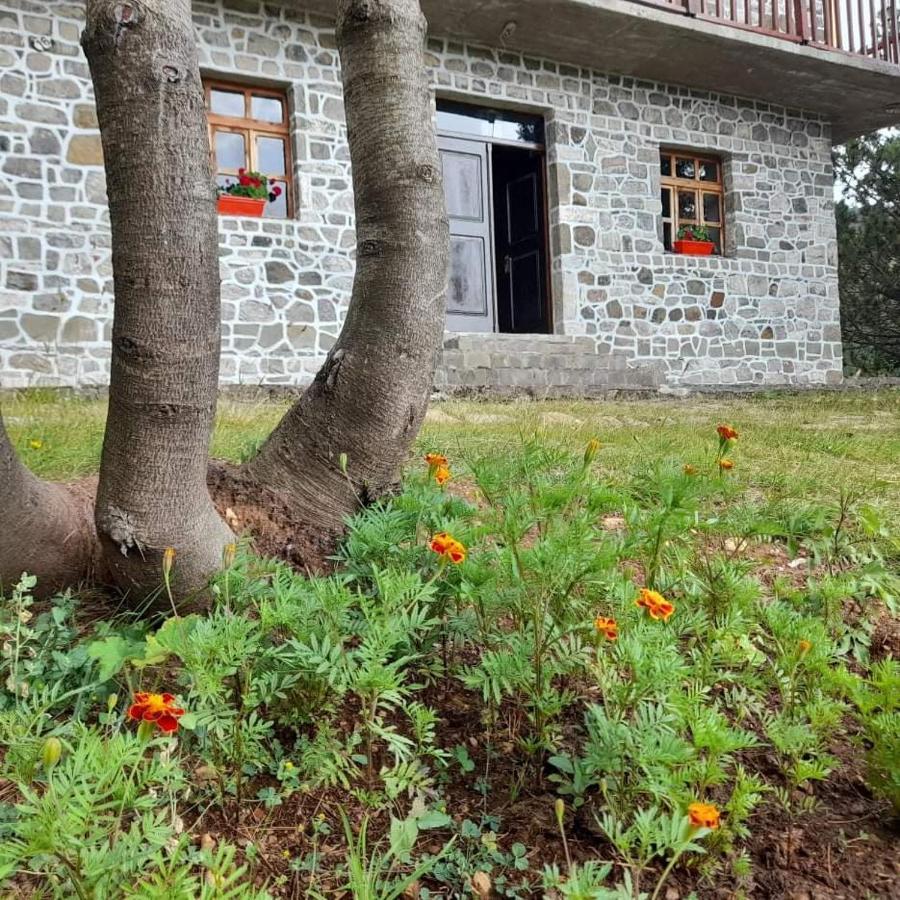 Hotel Grabova Grabove e Siperme Zewnętrze zdjęcie